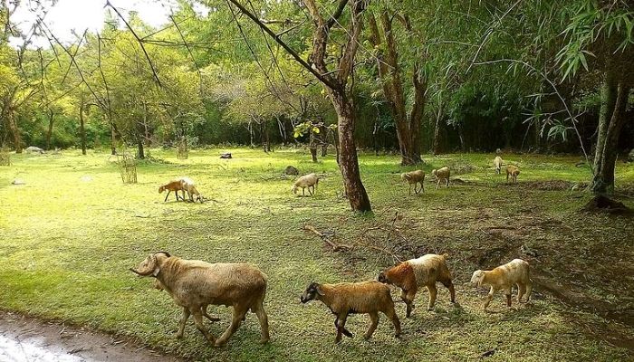 Biosphere Reserve