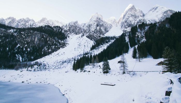 Enjoy Snow sledding at Narkanda Peak