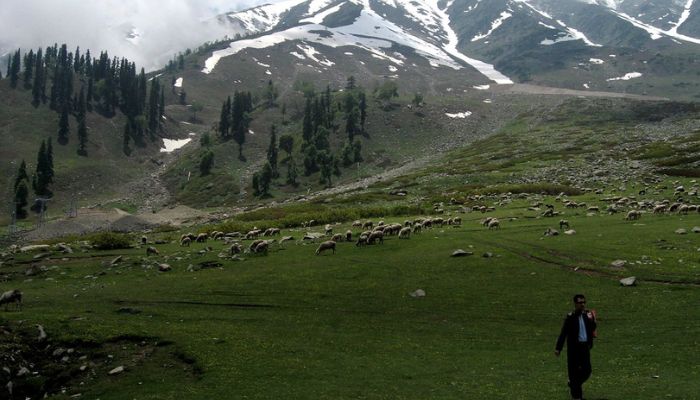 Meadows of Khilanmarg