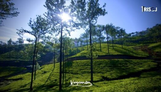 Places To Visit in Vagamon