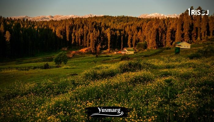 Places To Visit in Yusmarg