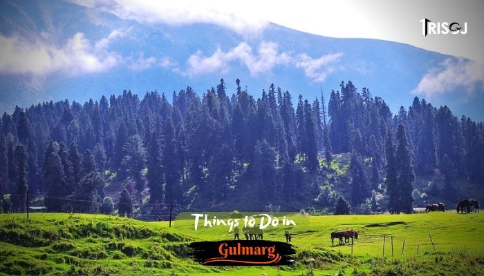 Things To Do in Gulmarg