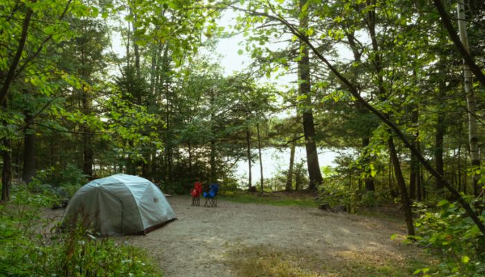 Camping in the Nature of Lachen