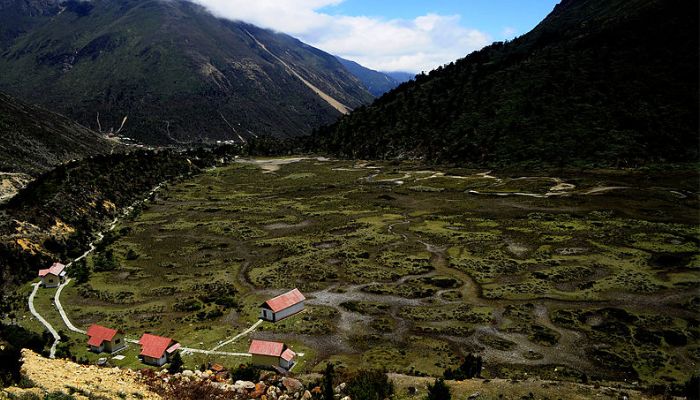 Chopta Valley