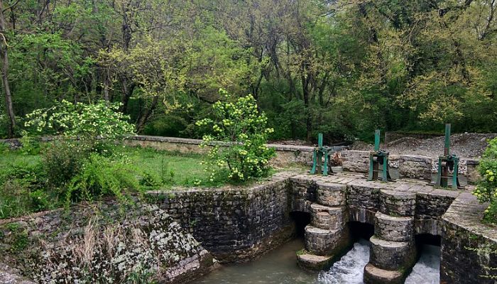 Dachigam National Park