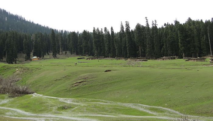 Doodhpathri meadow