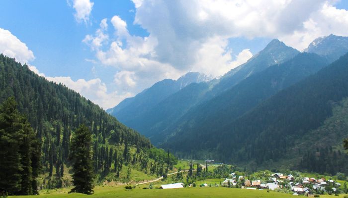 Get lost in the alpine meadows of Pahalgam