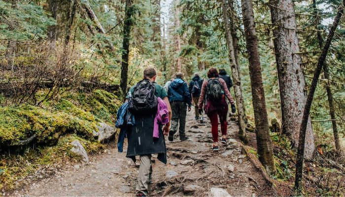 Hike In The Nearby Forests