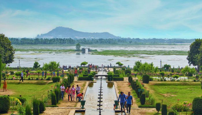 Kokernag Rose Garden