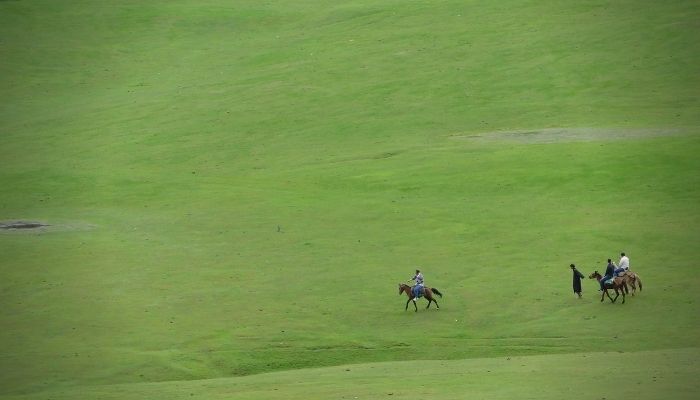 Pony ride in the Doodhpathri meadow