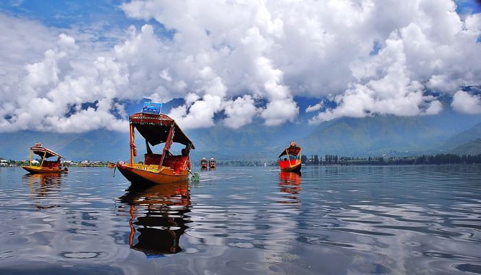 Ride a Shikara in Dal Lake