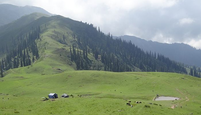 Sochilpather trek and camping