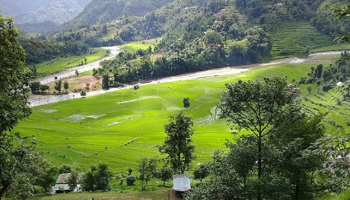 Bhaderwah