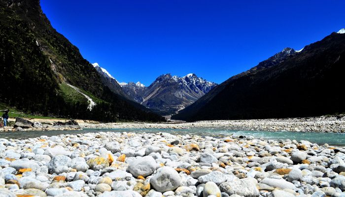 Yumthang Valley