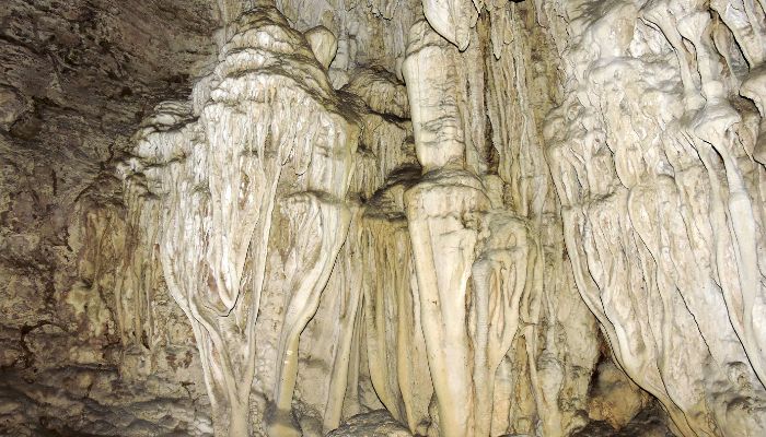 Limestone Caves