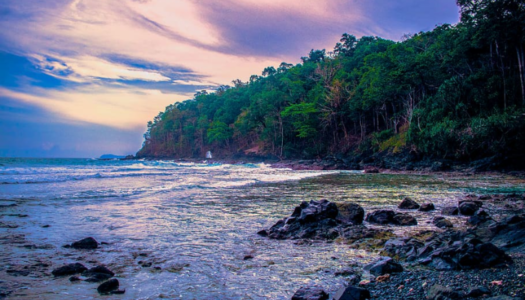 Things to do in Port Blair