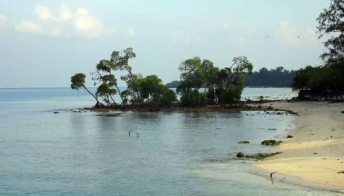 Vijaynagar Beach