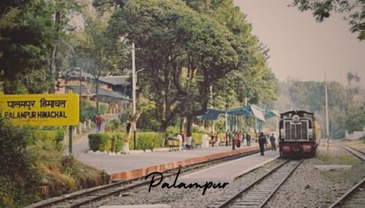 Places to Visit in Palampur