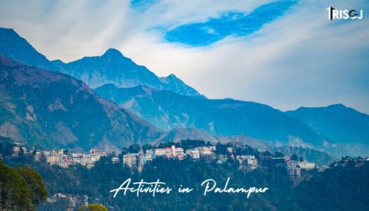 Things To Do in Palampur