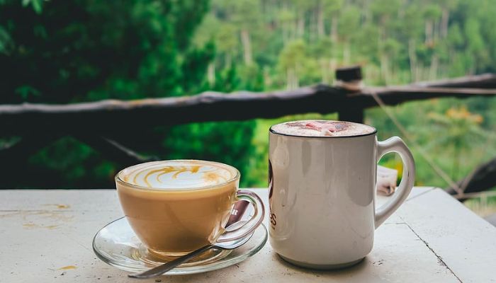 Exploring Cafes