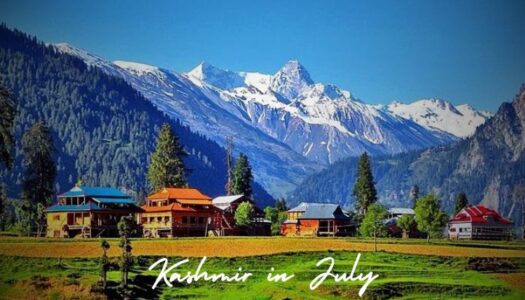 Kashmir in July