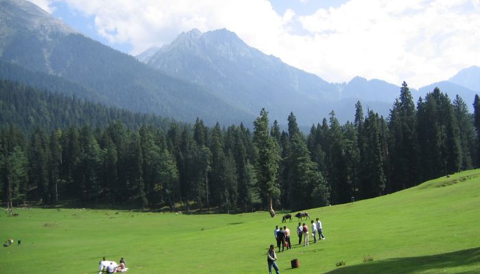 shightseeing in Pahalgam