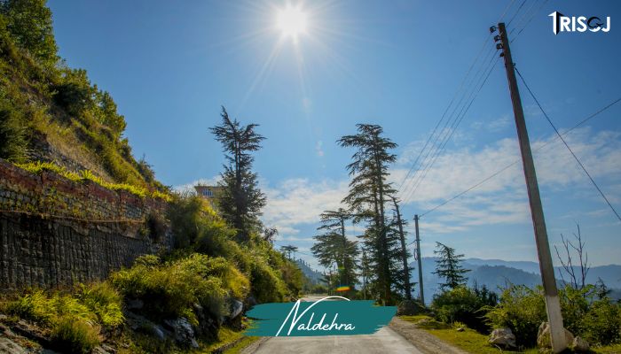 Places to visit in Naldehra