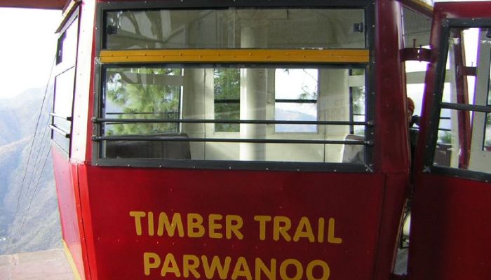 Timber Trail of Parwanaoo