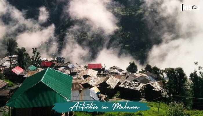 Activities in Malana