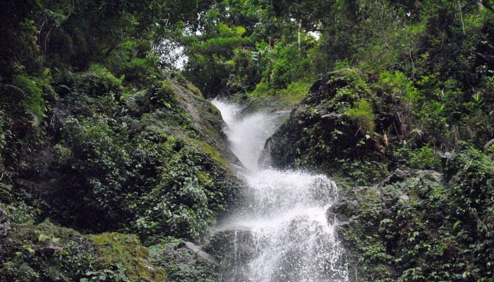 Chadwick Falls