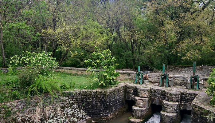 Dachigam National Park