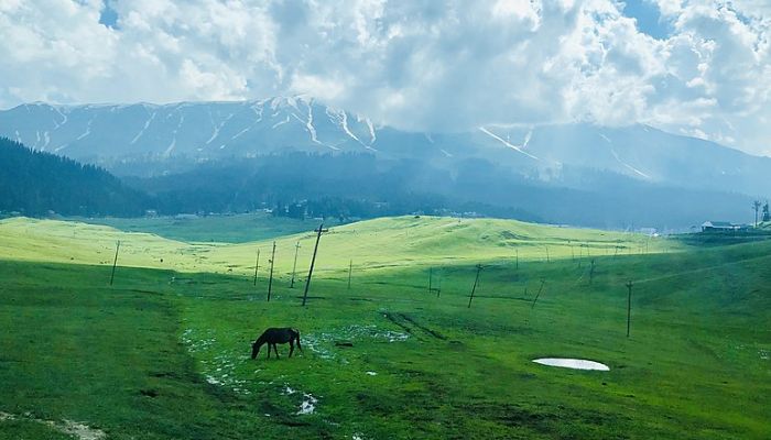 Gulmarg hill Station