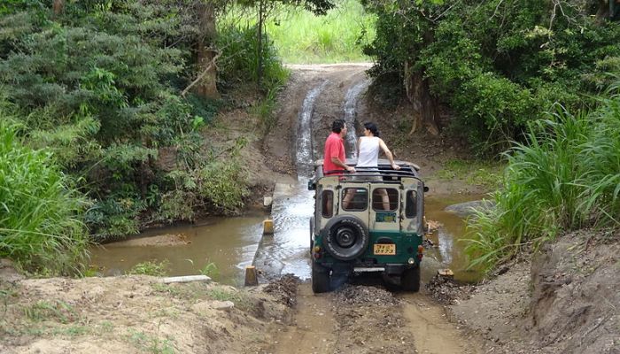 Jeep Safari