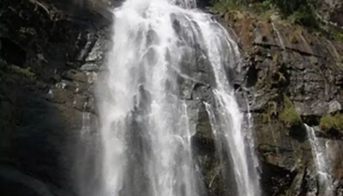 Kalatop Wildlife Sanctuary With Waterfalls: Where Nature Flourishes