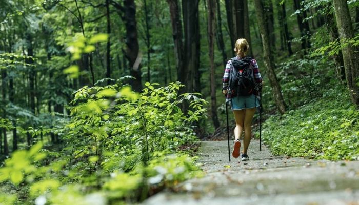 Natural Walk