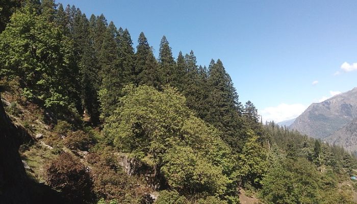 Parvati Valley