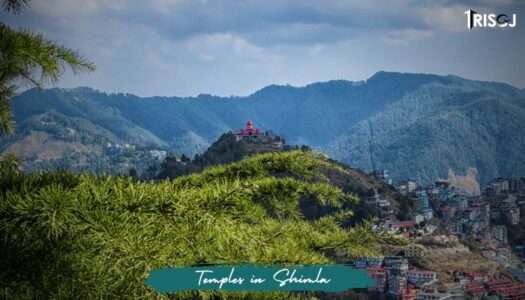 Temples in Shimla