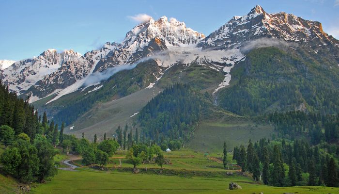 Thajiwas Glacier Trek