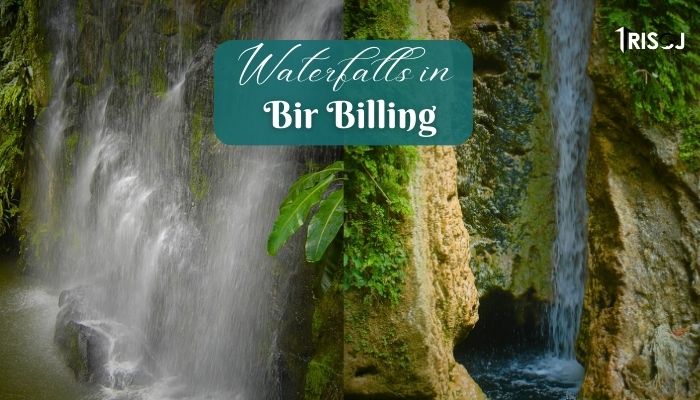 Waterfalls in Bir Billing