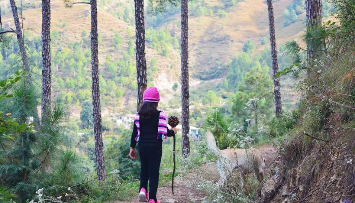 Chail to Kufri Trek