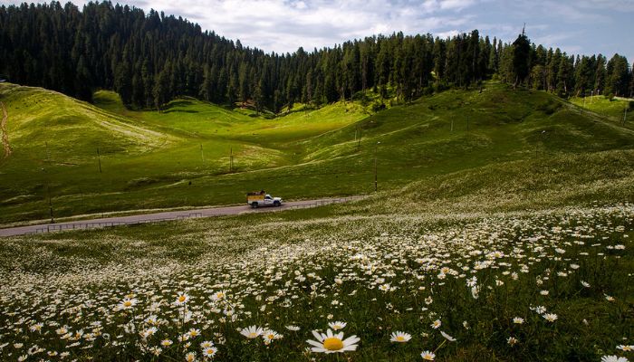 Gulmarg