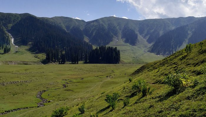 Kupwara