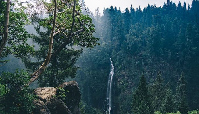 Aling-Aling Waterfall 